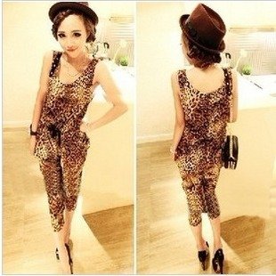 Women Clothing Sets With Leopard Print