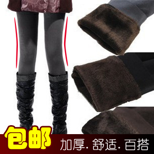 1 2012 autumn and winter thickening legging ankle length trousers koala velvet warm pants female