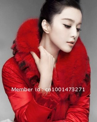 $10 off per $100 order Wholesale Winter Down Jacket 2012 New Slim Design Autumn Outerwear For Women JL-2012-001