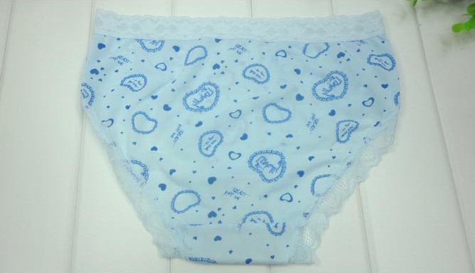 10 pcs/lot Blue Sexy Cozy Clothes Lingerie Women Underwear Briefs Lace Panties mix Colors Free Shipping