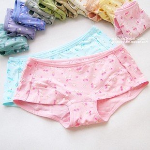 10PCS/LOT 10 Colors Women's Modal+Cotton Underwear Soft Design Women' Panties Individual Packing Free Shipping EX-49