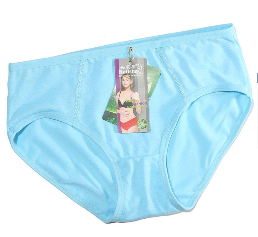 (10pcs/lot) Free shipping Lady underwear/cotton briefs/Lady bamboo fiber women underwear women wear