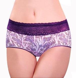 10pcs/lot free shopping! Ladies underwear day in bamboo fiber waist lace sexy flat Angle pants 33552