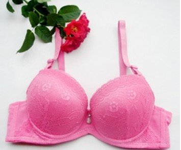 11061138,Wholesale, High quality women's bra, perfectly fit push up sexy bra for ladies, Free Shipping