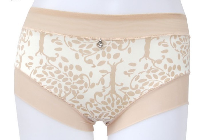 11080564 High Quality women's lace Panty lady's lingerie underwear smooth high quality single packing Free Shipping