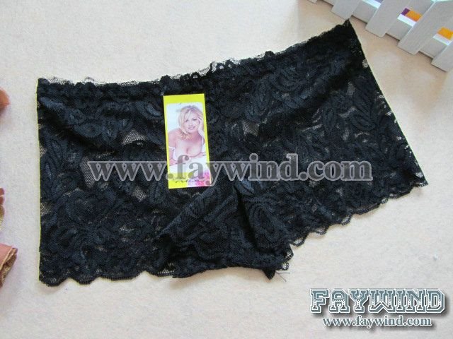 1200pcs/lot mixed styles 2012 NEW women's Lace lingerie factory price women sexy  lace panty underwear faywind free shipping