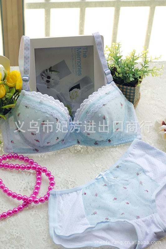 122 Taobao entity the explosion models charcoal pastoral Chiffon Floral breasted comfortable cotton bra sets bra