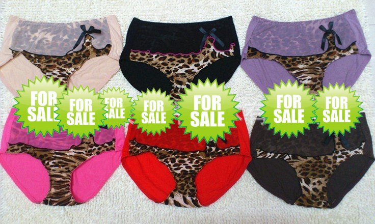 20 pcs a lot  Free Shipping For 1'9''-2'3'' MODAL Women Underwear( color send randomly)