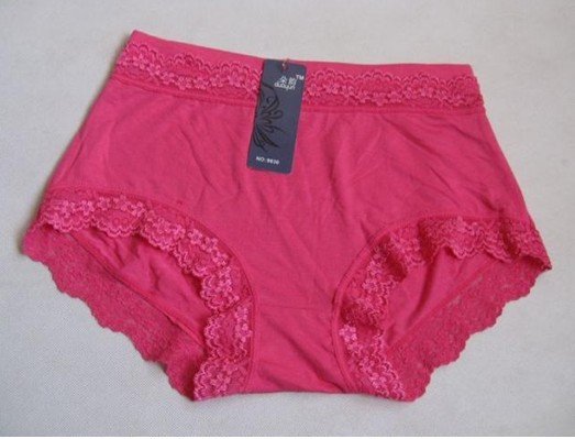 2011 FREE SHIPPING NEW STYLE Wholesale women's Sexy Underwear Apparel pants ,5pc / lot