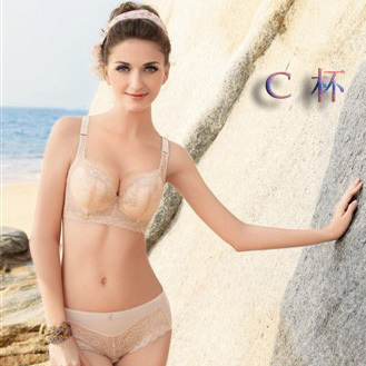 2011 spring sexy c cup push up adjustable bra set