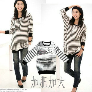 2012 autumn and winter fashion maternity clothing stripe dance 100% cotton long-sleeve maternity t-shirt top