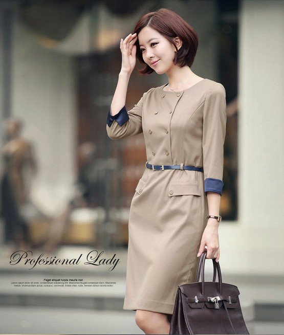 2012 Autumn New Slim OL Career Double Breasted Dress