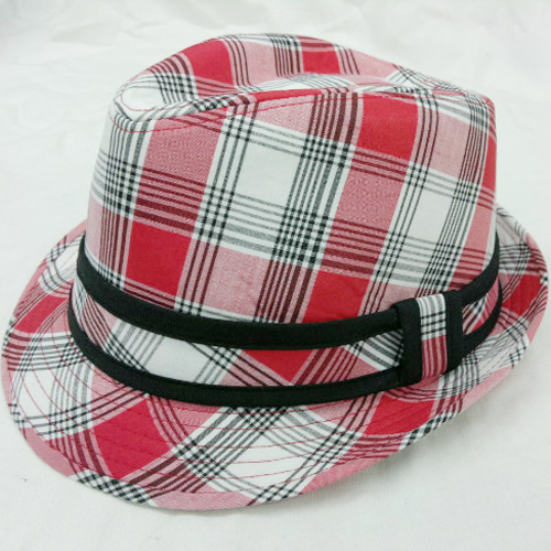 2012 british style 100% check cotton spring and autumn gentlewomen fedoras two-color hooded fashion all-match hat