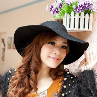 2012 high quality ladies autumn and winter pure woolen big along the cap female dome fedoras