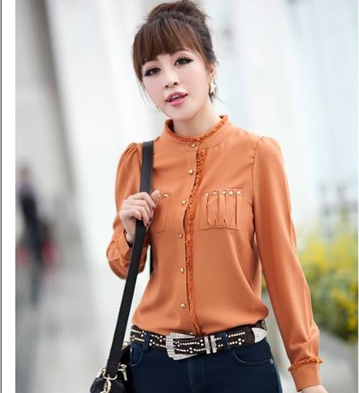 2012 hot sale spring & autumn women's blouses OL outfit slim  long-sleeve fur collar shirts WYL5163