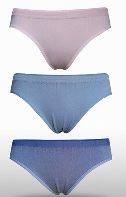 2012 Ladies' Anti-Odor Nano-Silver CoolMax-Fresh Underwear Breathable Quick Dry Sports Brief for Women