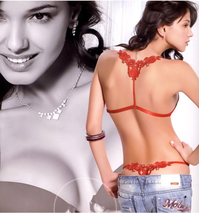 2012 New Arrival 3/4 Cup Push up Ladies bra.Back Design Strap Seamless Embroidery Front Buckled T Back lingerie Set.6830