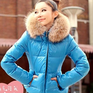 2012 Newest women's down cotton short design slim luxury oversized wool coat free shipping N207