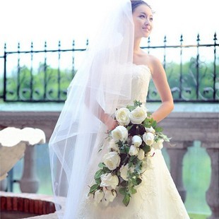 2012 princess bridal veil long veil elegant design brief royal formal dress veil