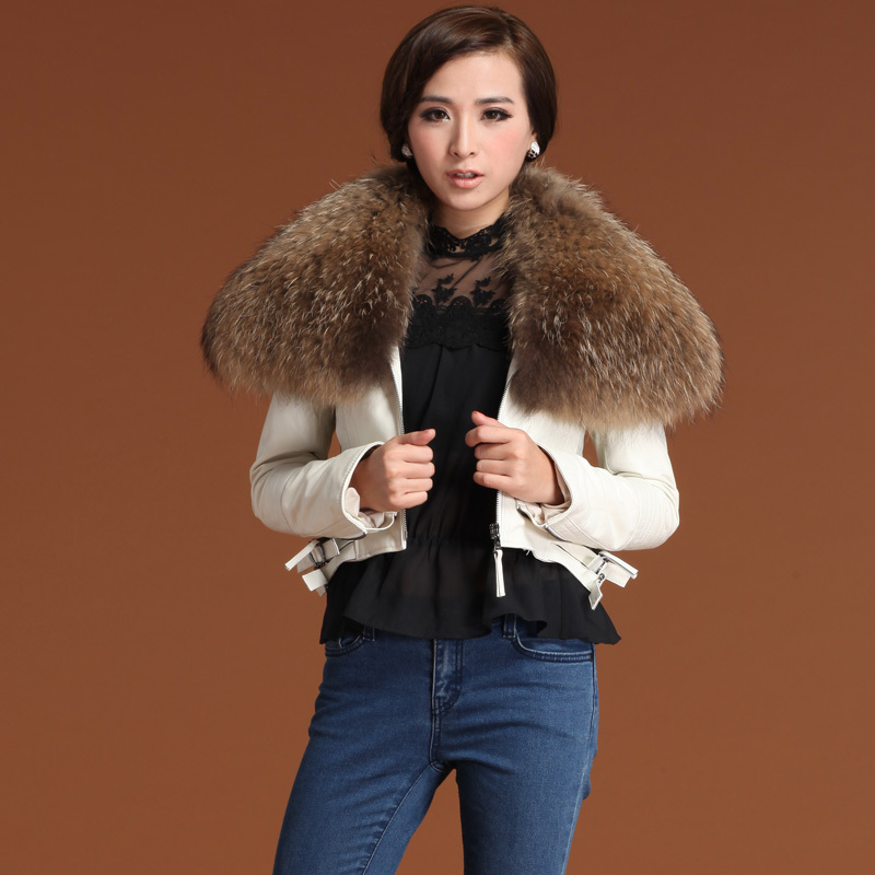 2012 raccoon large fur collar sheepskin short design genuine leather