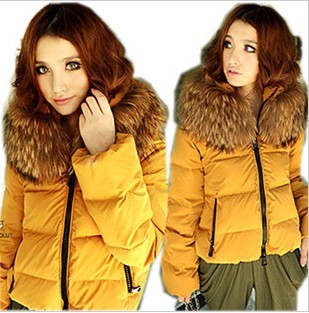 2012 ultralarge plus size clothing raccoon fur down coat short design above white duck down