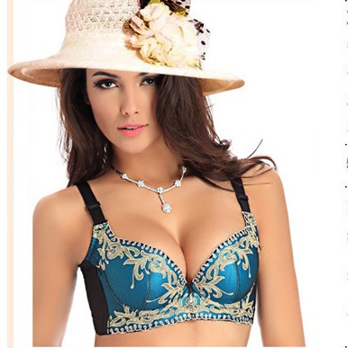 2013 ABC Cup Women's fashion Bra,Sexy Bra,Fashion Brassiere,Women Bra, Bra Women Free shipping Wholesale&Retail PLD-21