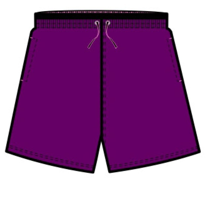 2013 fashion purple beach shorts(JC032)