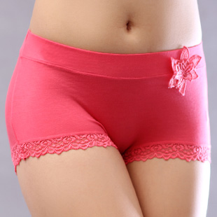 2013 fashion women's panties  100% bamboo fibre women's modal cotton briefs cotton female 100% trigonometric  plus size shorts