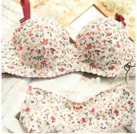 2013 free shipping 2012 underwear bra seamless one piece type 3 breasted push up bras wholesale&retail