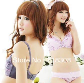 2013 free Shipping C  Cup Women's fashion Bra set ,Sexy Bra set ,Fashion Brassiere set ,Sports Bra Wholesale&Retail