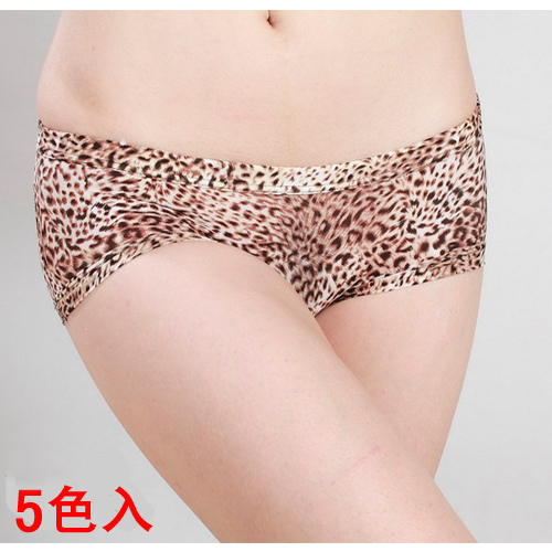 2013 freeshipping  leopard print women's boxer panties ultra-thin fabric low-waist  underwear  5pc/lot