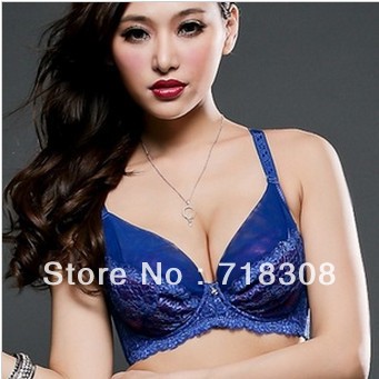 2013 Hot sale Lace Sexy Bras  Women's Lingerie bra bcdef cup Bra Lanny women bra push up bra for women Free Shipping