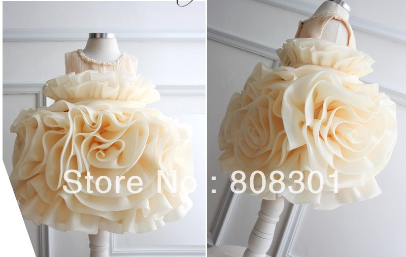 2013 International exclusive launch of the new stereo baby skirt girl dress baby dress 90-100-110 3pcs/lot