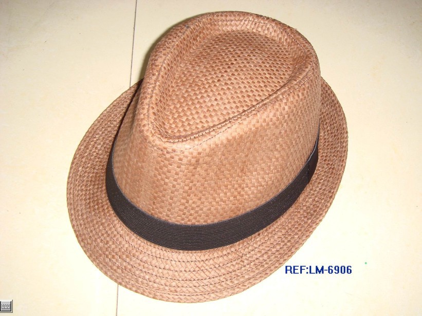 2013 Leisure hat