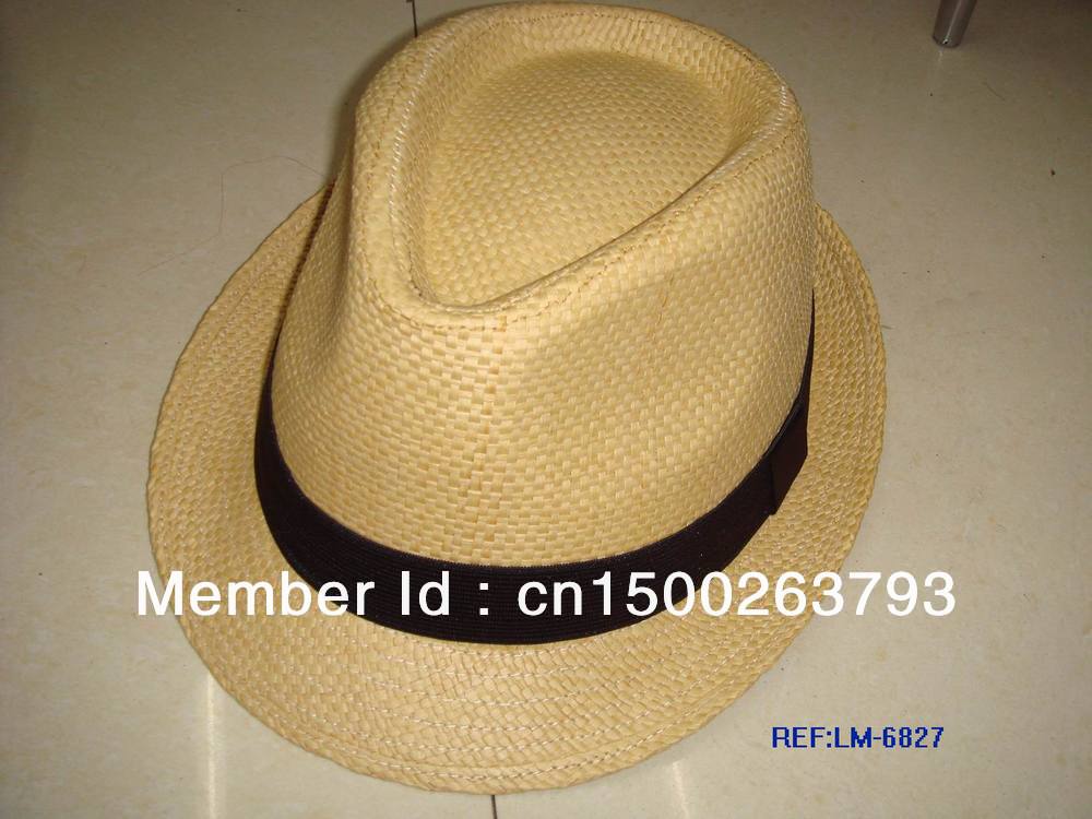 2013 Leisure hat