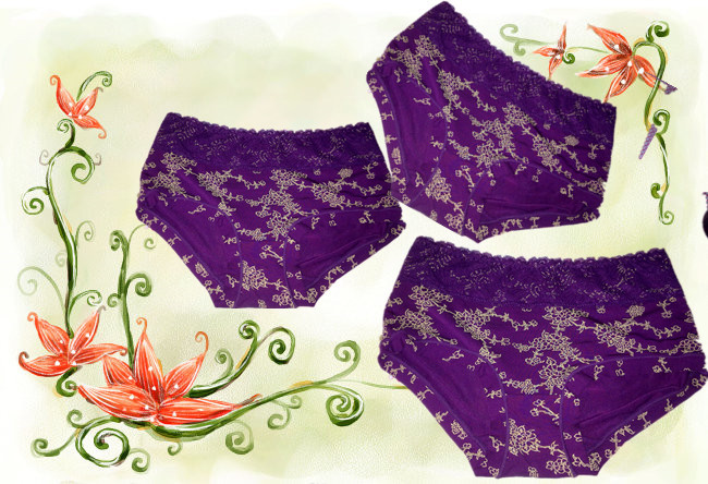 2013 new bamboo fiber briefs sanitary panties sexy lingerie underwear lady's shorts cotton intimates by free shipping 20pcs/lot