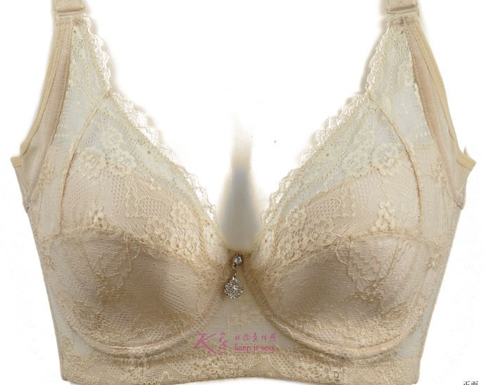 2013 new D CUP ladies bra sexy bra women's bra free shipping