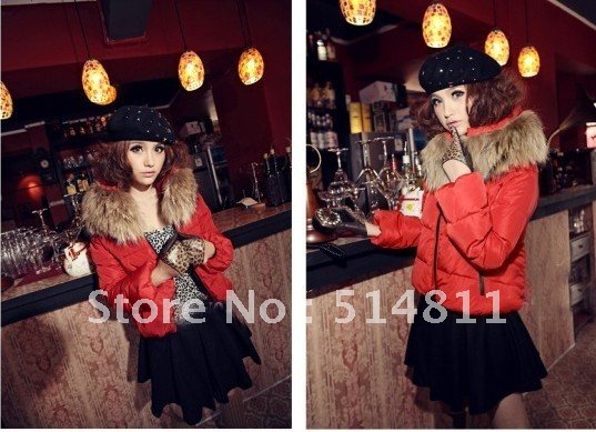 2013 new fashion removable cap double-breasted long Womens down coat  free shoping 005