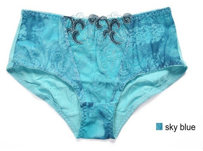2013 new Fashion sexy embroidery women pink&blue panties ,sexy lingerie,woman underwear,M L XL XXL