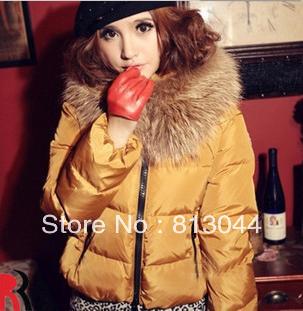 2013 NEW! Free shipping, Slim down padded, Many colours can choose