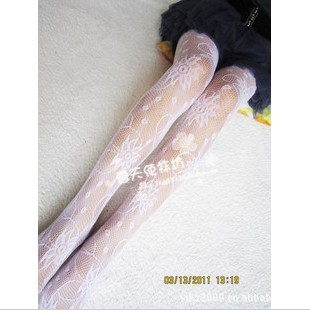 2013 new Spring Fashion Stretch Jacquard Sexy Leggings Tights For Women 1672