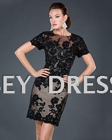 2013 spring black short-sleeve lace flower party dress short design slim hip dress skirt e8300