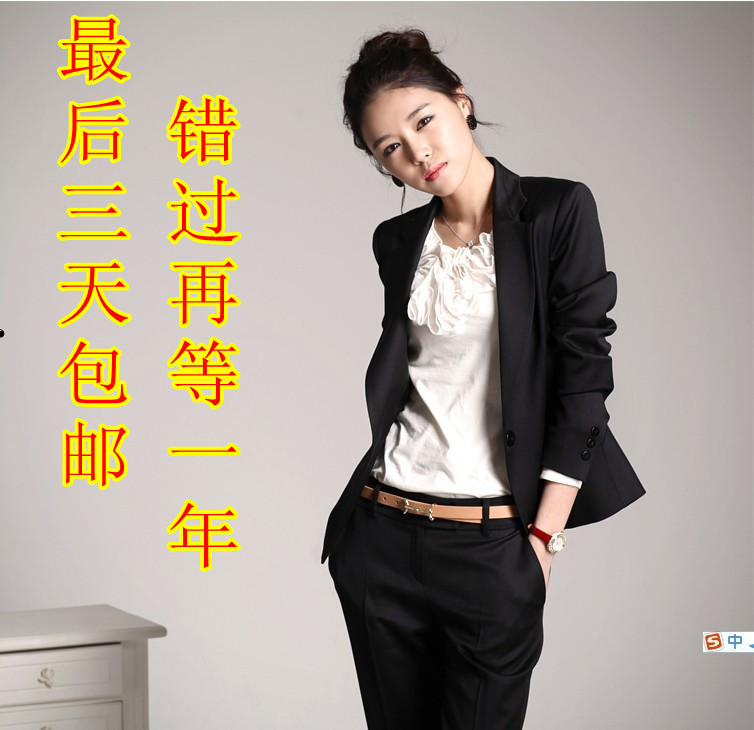 2013 spring ol slim work wear women's set fashion women's formal suit female work wear