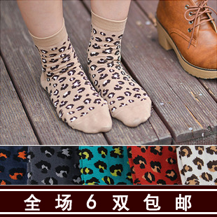 2013 women's  sexy socks autumn and winter leopard print socks 100% cotton socks candy color free shipping