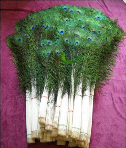 34" Long Natural Peacock Tail Eye Feathers__ Pack Of 300