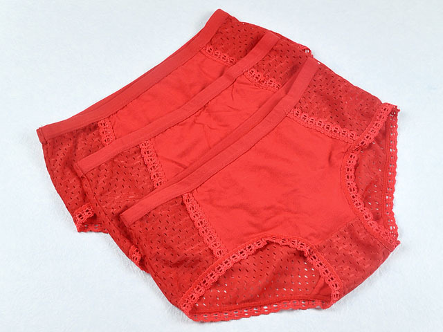 3x Comfortable Red Color Mesh Holes Lady Women Cozy Lingerie Panties Briefs Knickers Free Shipping UW122