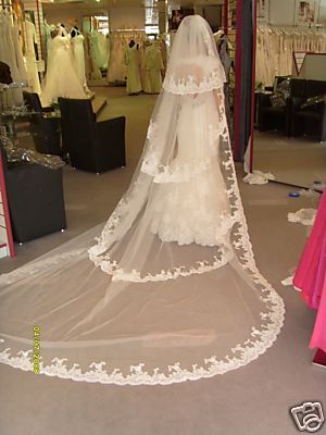 ,5 meters long veil,1.5 meters wide price $36