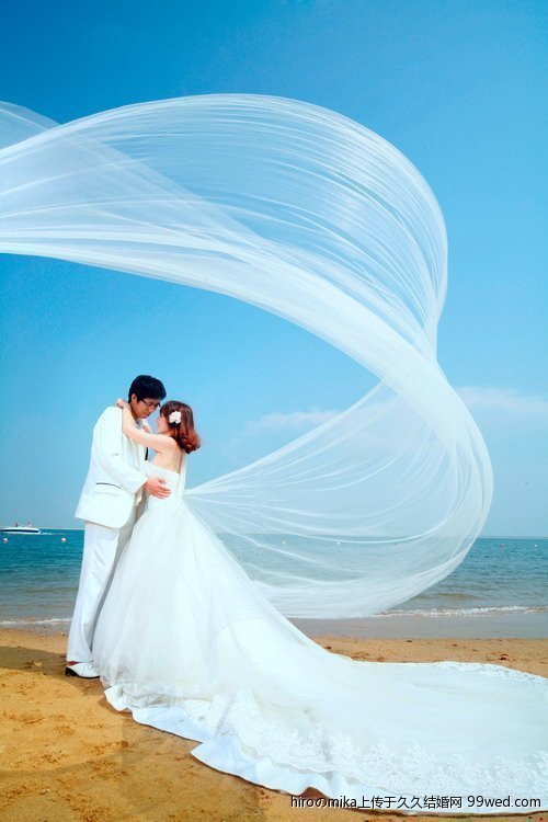 5 meters long veil wedding dress veil bridal veil style the bride hair accessory customize length