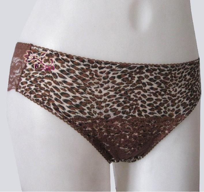 5 sexy achromatous leopard print lace women's low-waist panties shorts