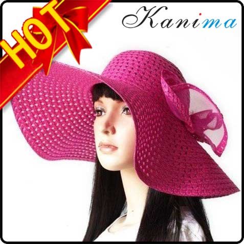 50 pcs/lot Crazy Selling Jewelry Hollywood Sexy Lovely Wide Wire Brim Summer / Beach / Sun / Straw / Floppy Hat For Women N280